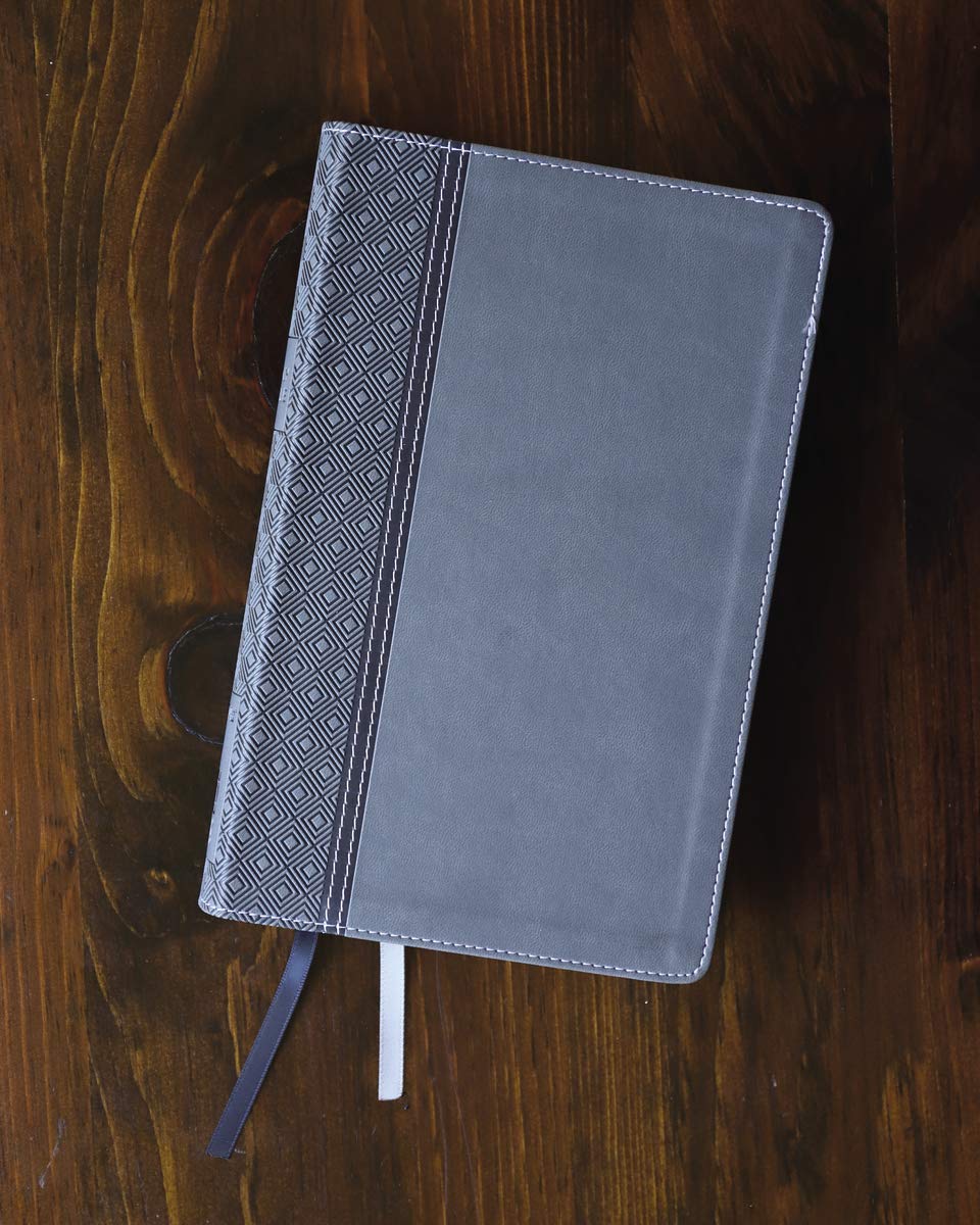NIV, Thinline Reference Bible, Leathersoft, Gray, Red Letter