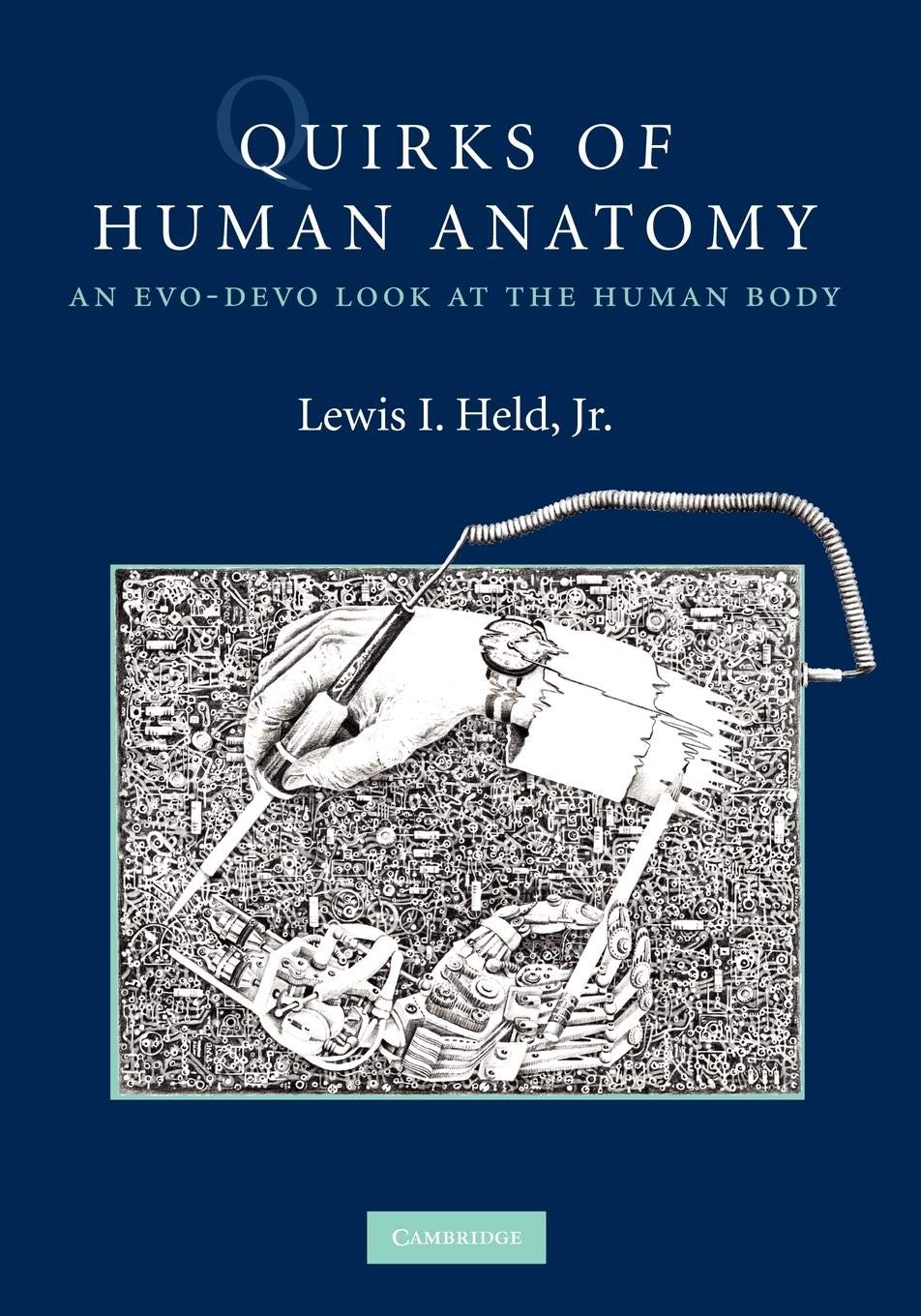 Quirks of Human Anatomy: An Evo-Devo Look at the Human Body