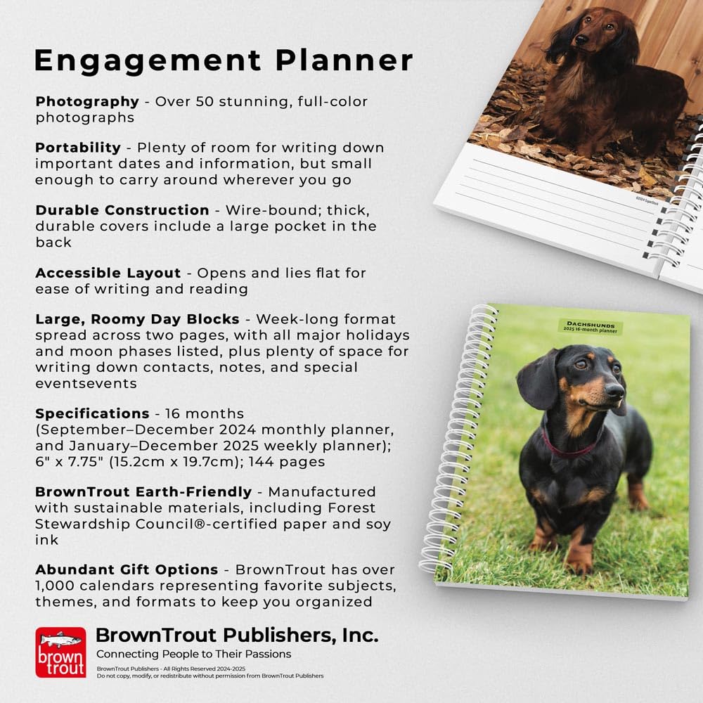 Dachshunds  2025 6 x 7.75 Inch Spiral-Bound Wire-O Weekly Engagement Planner Calendar  New Full-Color Image Every Week  BrownTrout  Animals Dog Breeds Pets