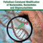 Palladium-Catalyzed Modification of Nucleosides, Nucleotides and Oligonucleotides