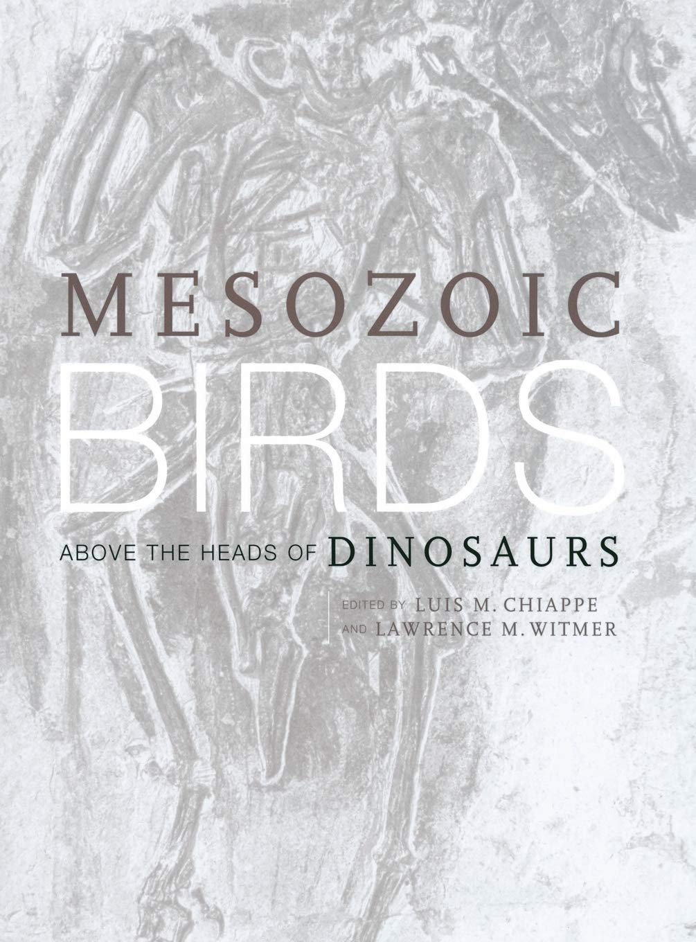 Mesozoic Birds: Above the Heads of Dinosaurs by Chiappe, Lui