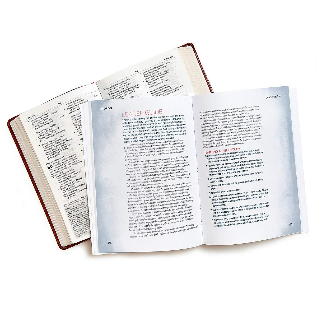 Gideon: Your Weakness. God's Strength. Bible Study Book