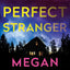 The Perfect Stranger: A Novel
