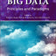 Big Data: Principles and Paradigms