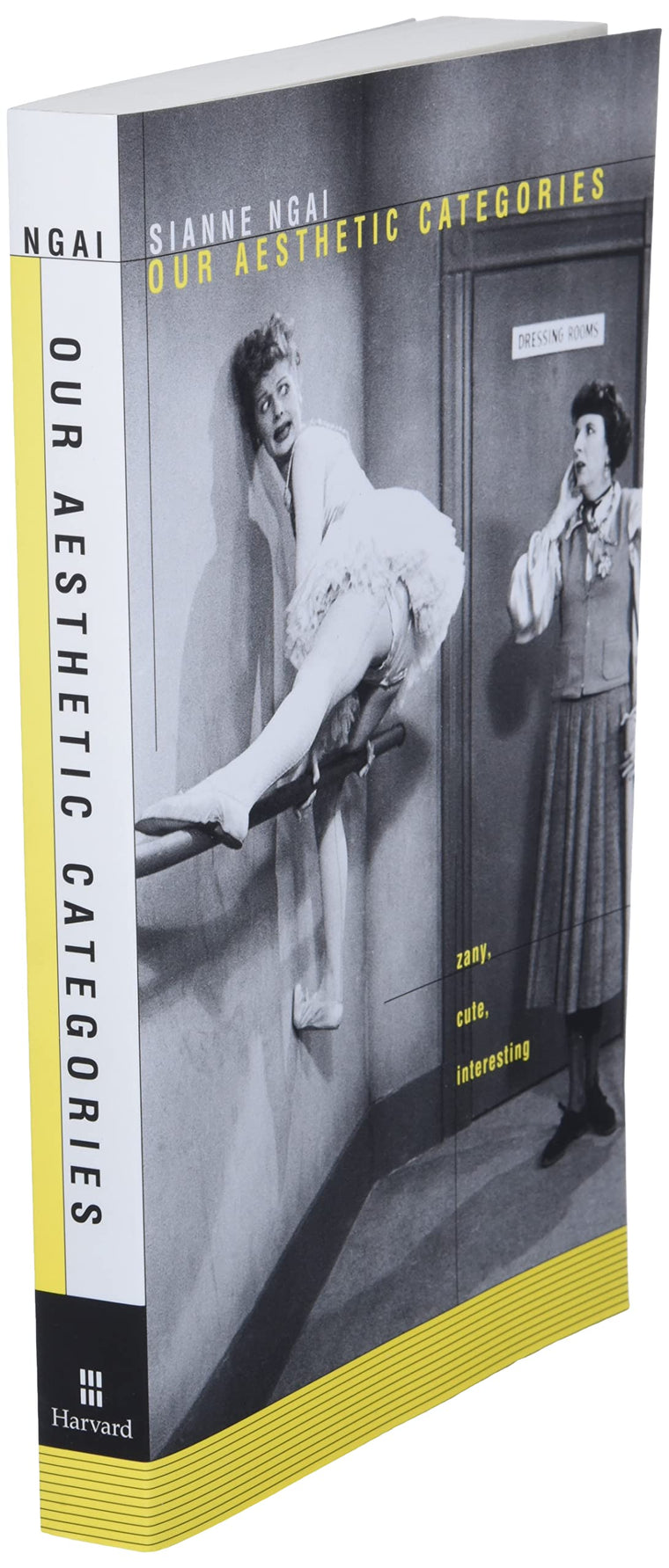 Our Aesthetic Categories: Zany, Cute, Interesting — back cover