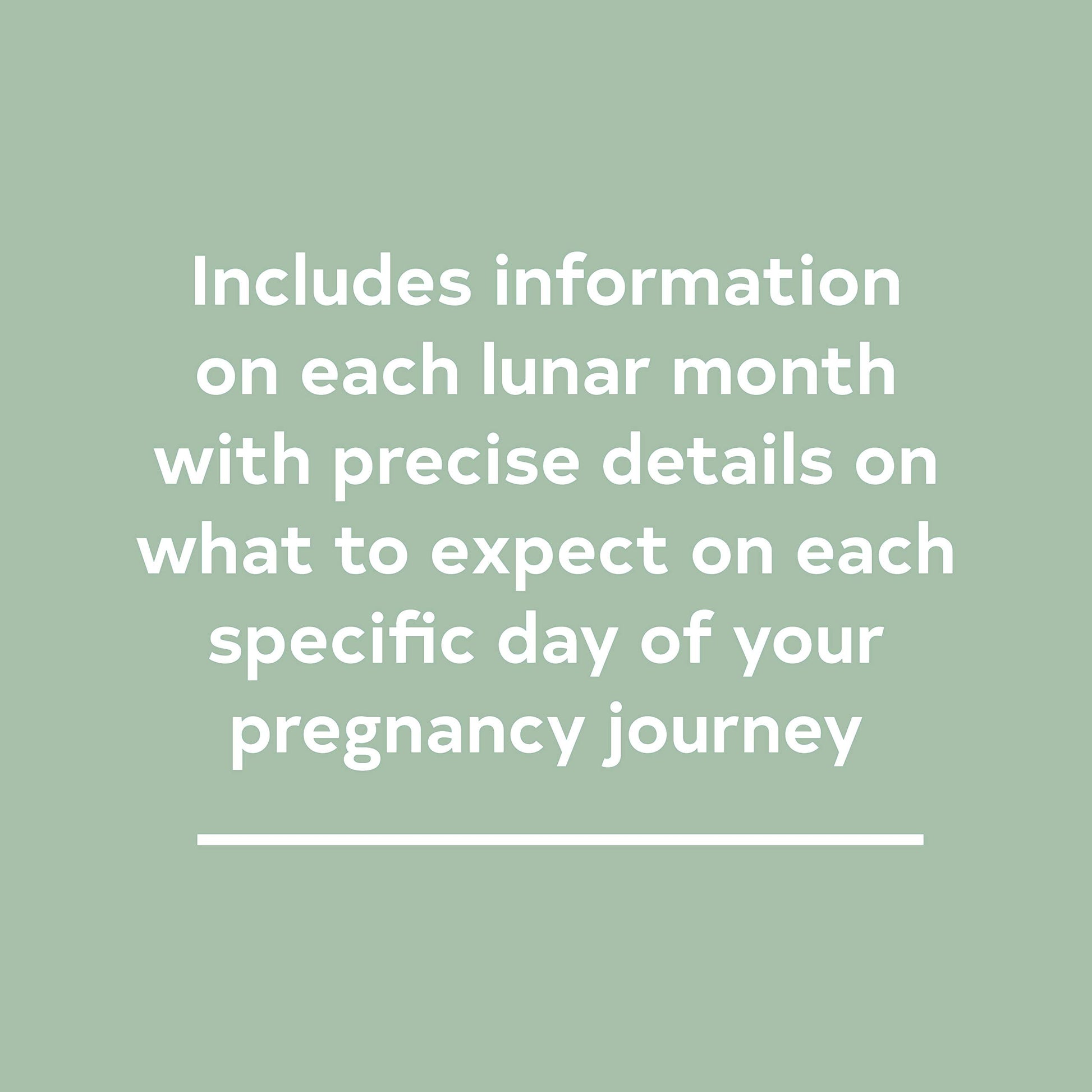 The Pregnancy Journal, 4th Edition: A Day-Today Guide to a Healthy and Happy Pregnancy (Pregnancy Books, Pregnancy Journal, Gifts for First Time ... Guide to a Healthy and Happy Pregnancy