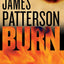 Burn (A Michael Bennett Thriller, 7)