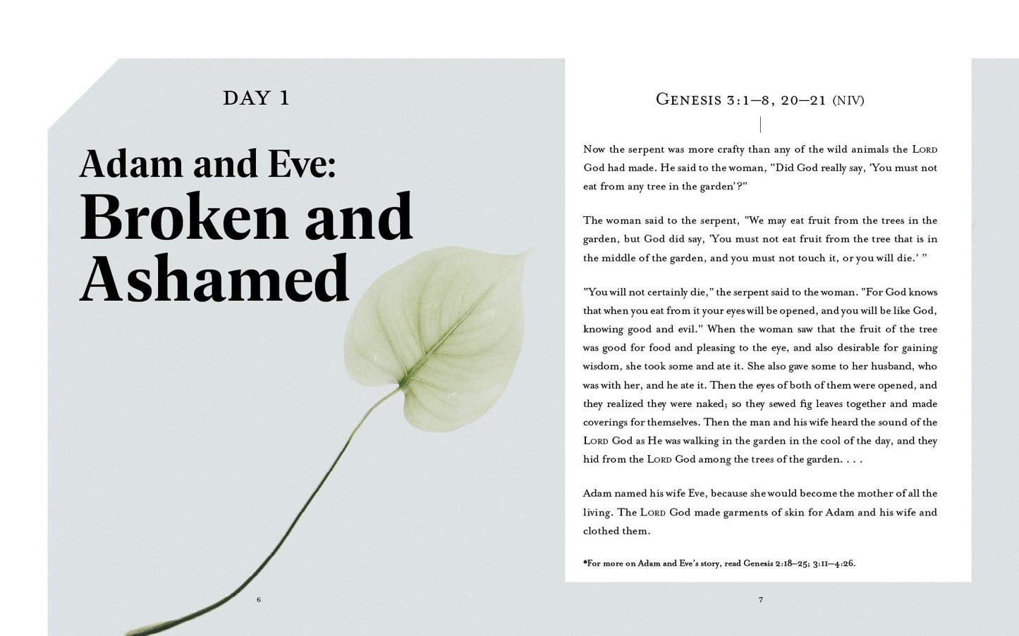 Beautifully Broken: Jesus Every Day Devotional Guide
