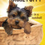 You and Your Yorkie Puppy in a Nutshell: The essential owners