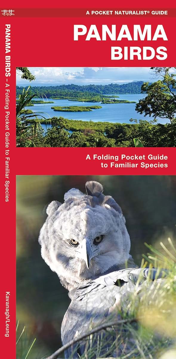 Panama Birds: A Folding Pocket Guide to Familiar Species (Nature Observation International)
