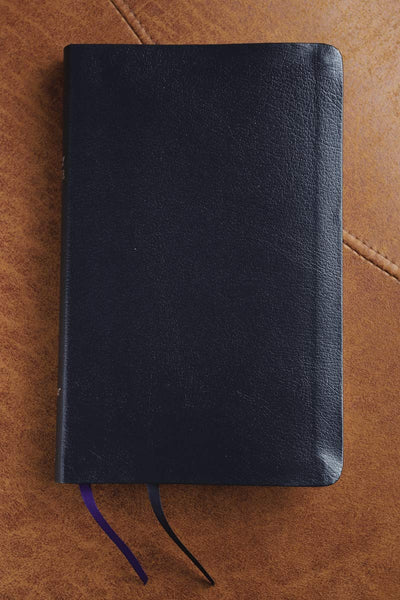NIV Thinline Bible Bonded Leather Navy Red Letter
