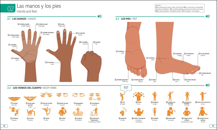 Spanish - English Illustrated Dictionary: A Bilingual Visual