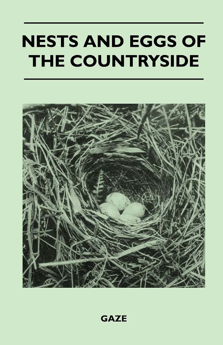 Nests and Eggs of the Countryside
