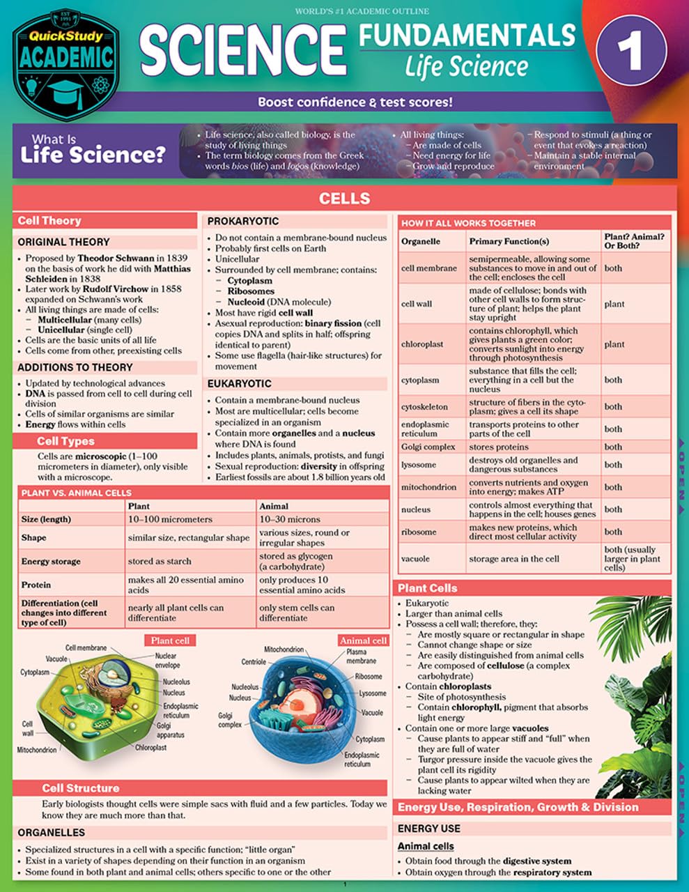 Science Fundamentals 1 - Life Science - Cells, Plants & Animals: QuickStudy Laminated Reference & Study Guide