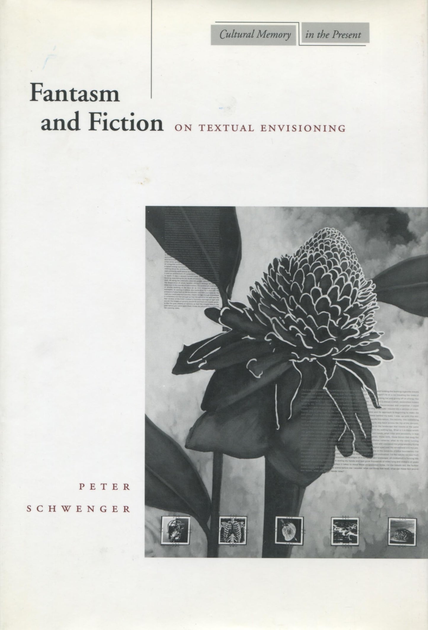 Fantasm and Fiction: On Textual Envisioning (Cultural Memory in the Present)