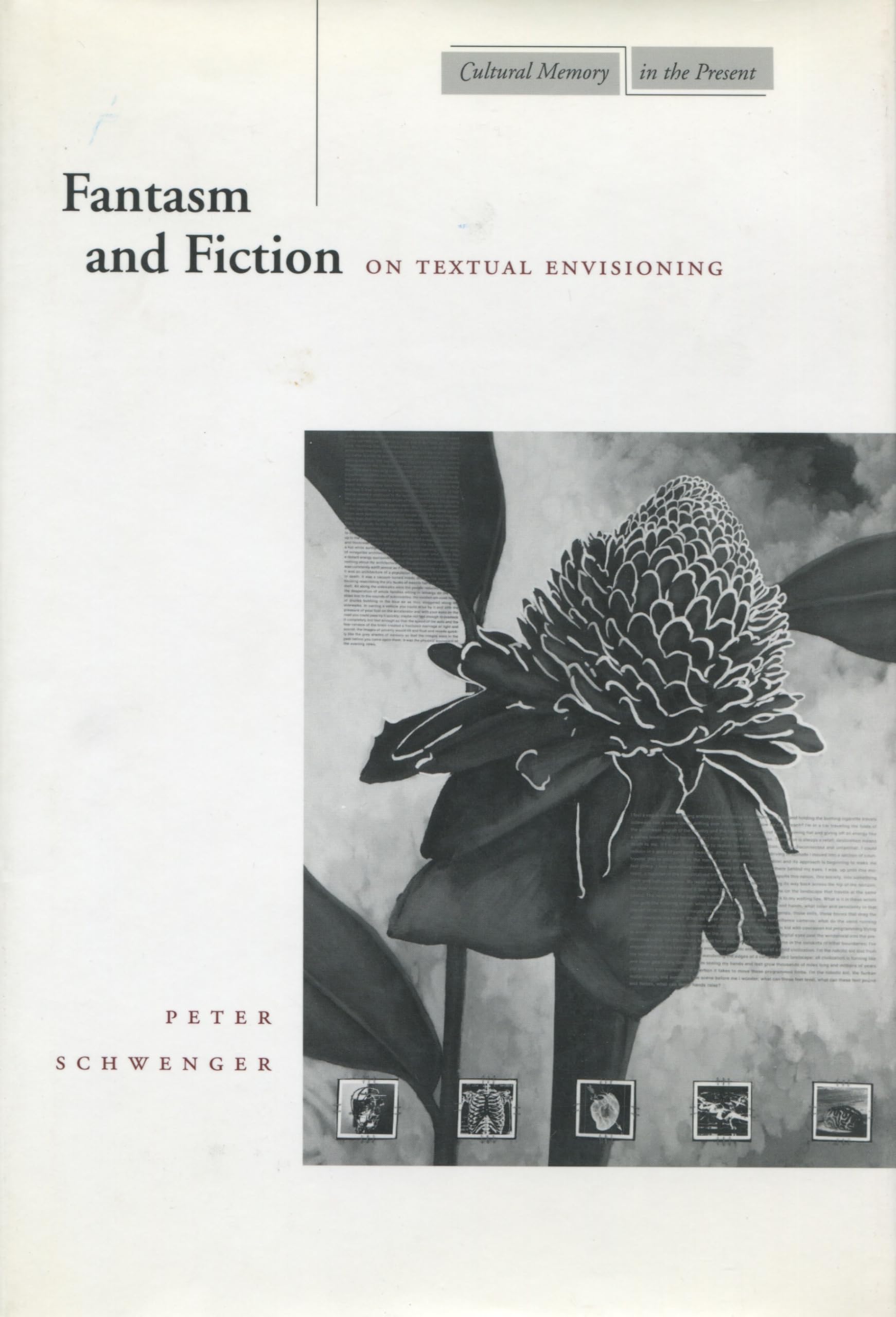 Fantasm and Fiction: On Textual Envisioning (Cultural Memory in the Present)