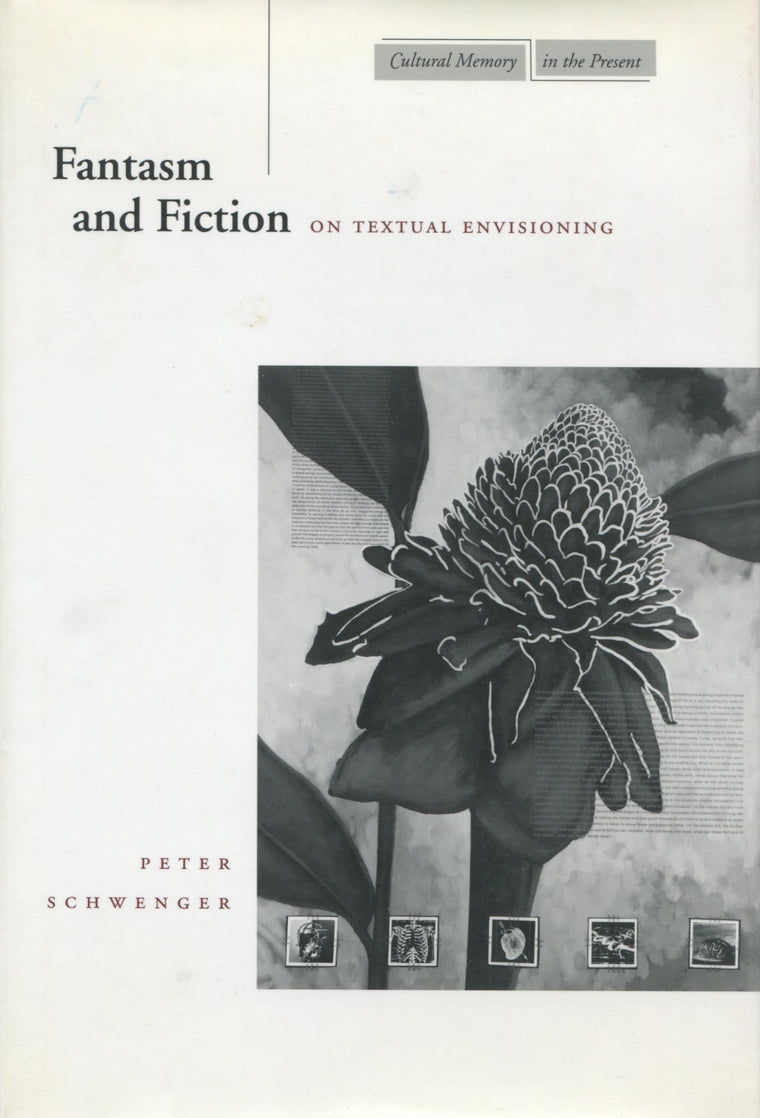 Fantasm and Fiction: On Textual Envisioning (Cultural Memory in the Present)