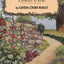 Mugworts In May: A Folklore of Herbs
