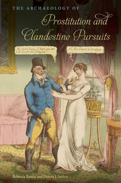 The Archaeology of Prostitution and Clandestine Pursuits (The American Experience in Archaeological Perspective)