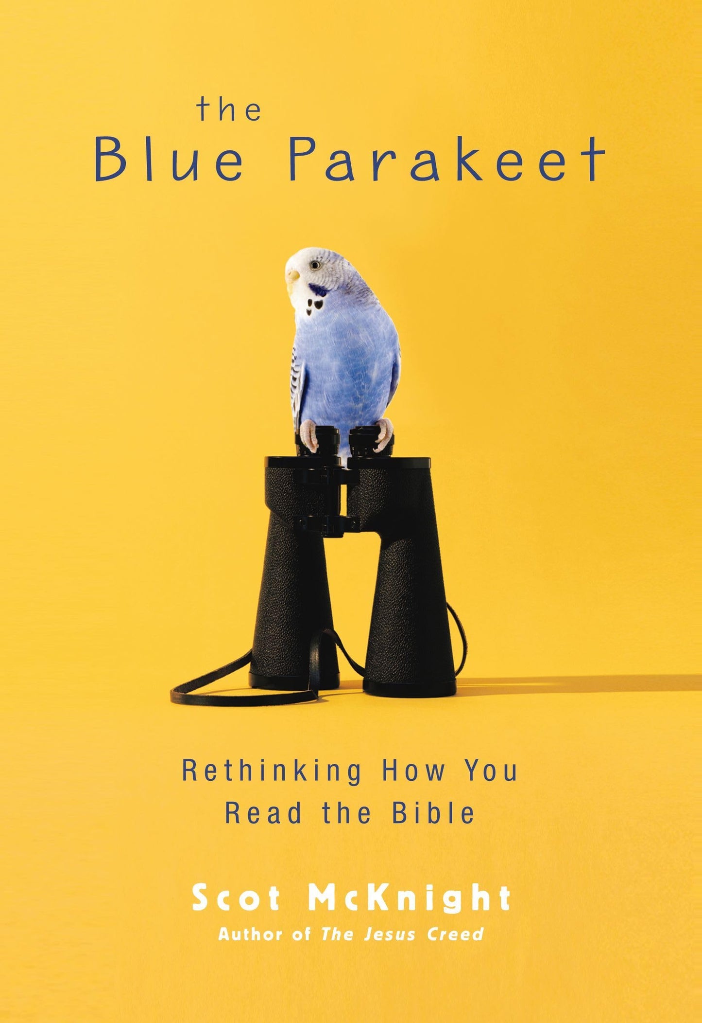 The Blue Parakeet: Rethinking How You Read the Bible