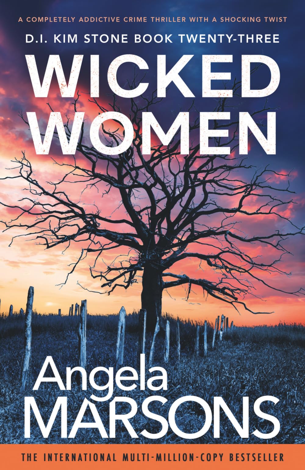 Wicked Women: A completely addictive crime thriller with a shocking twist (Detective Kim Stone)