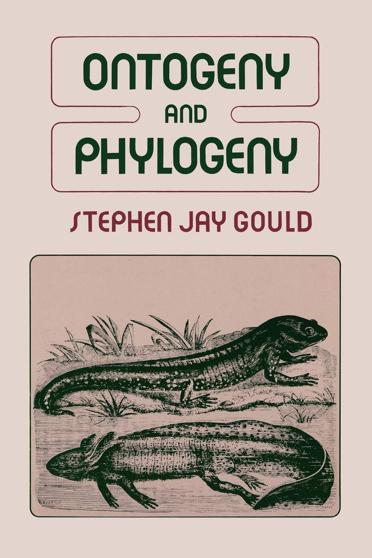 Ontogeny and Phylogeny by Gould, Stephen Jay