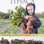 EcoVillage at Ithaca: Pioneering a Sustainable Culture