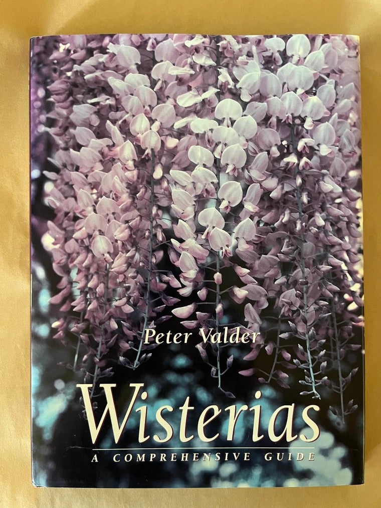 Wisterias: A Comprehensive Guide