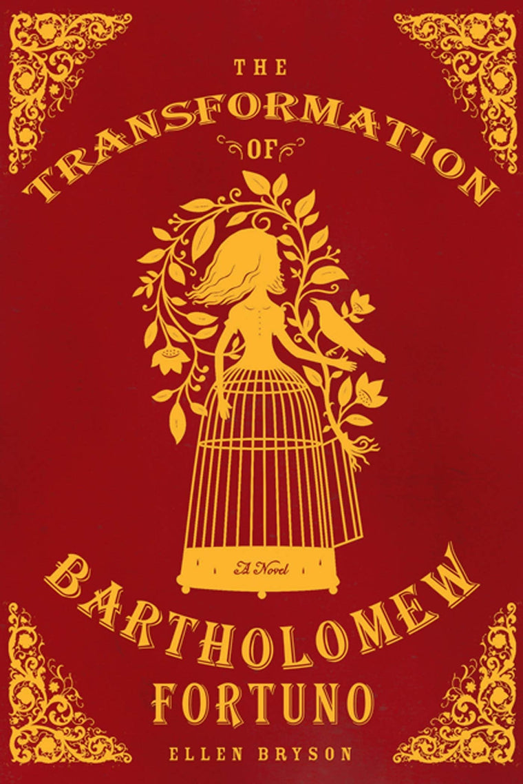 The Transformation of Bartholomew Fortuno: A Novel