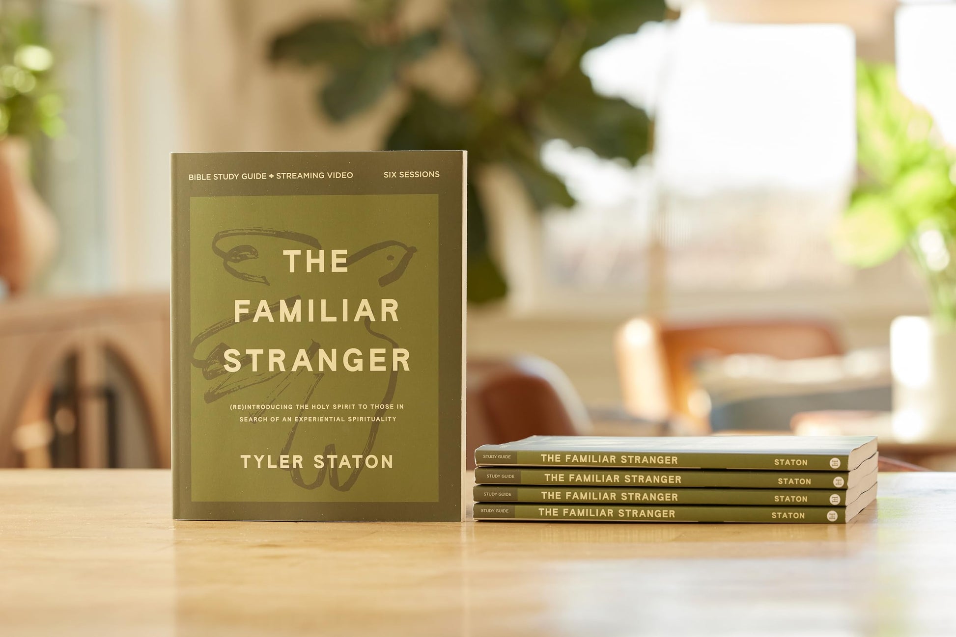 The Familiar Stranger Bible Study Guide plus Streaming Video: (Re)introducing the Holy Spirit to Those in Search of an Experiential Spirituality