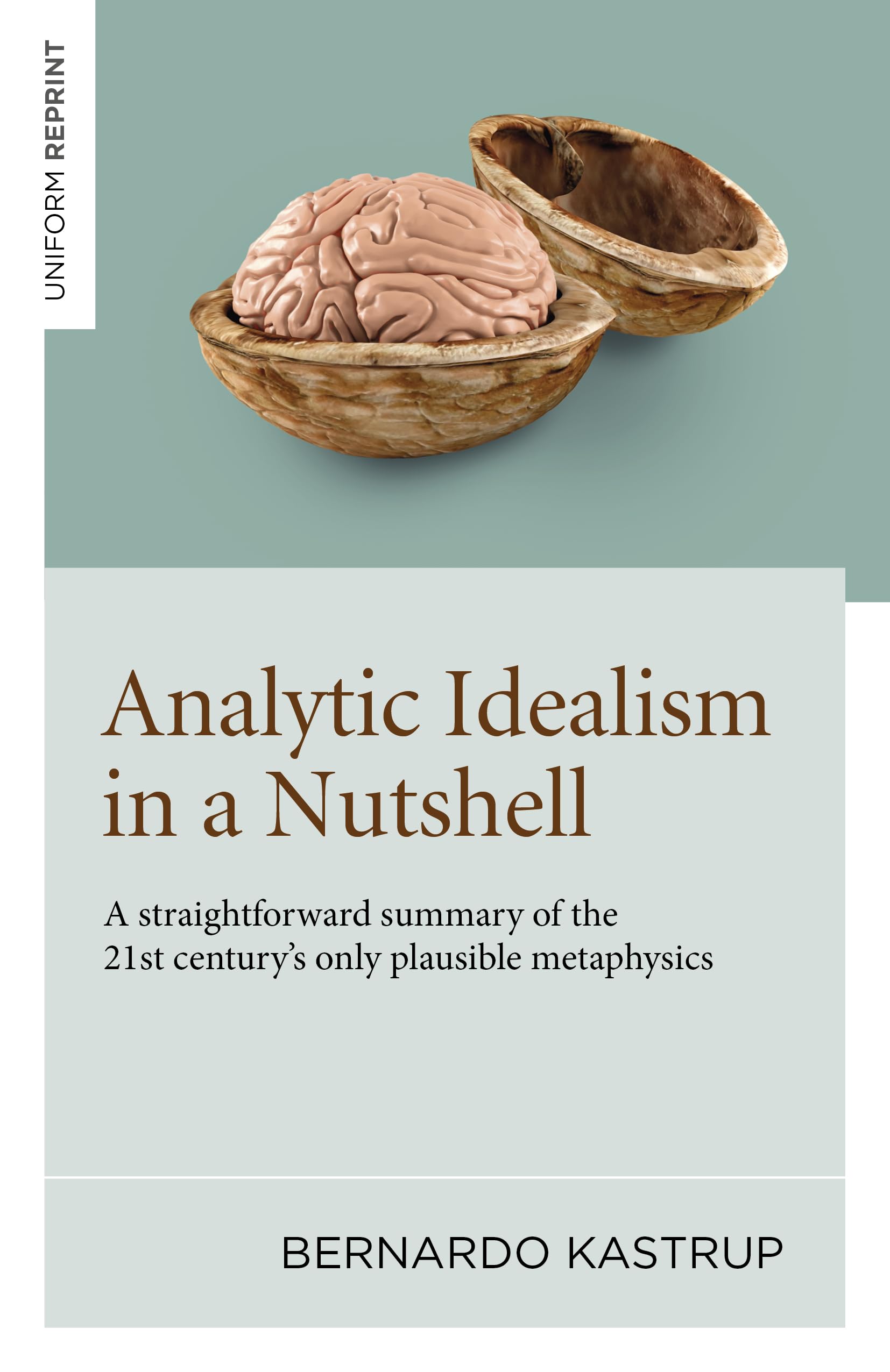 Analytic Idealism in a Nutshell: A straightforward summary of the 21st centurys only plausible metaphysics