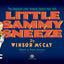 Little Sammy Sneeze: The Complete Color Sunday Comics 1904-1905