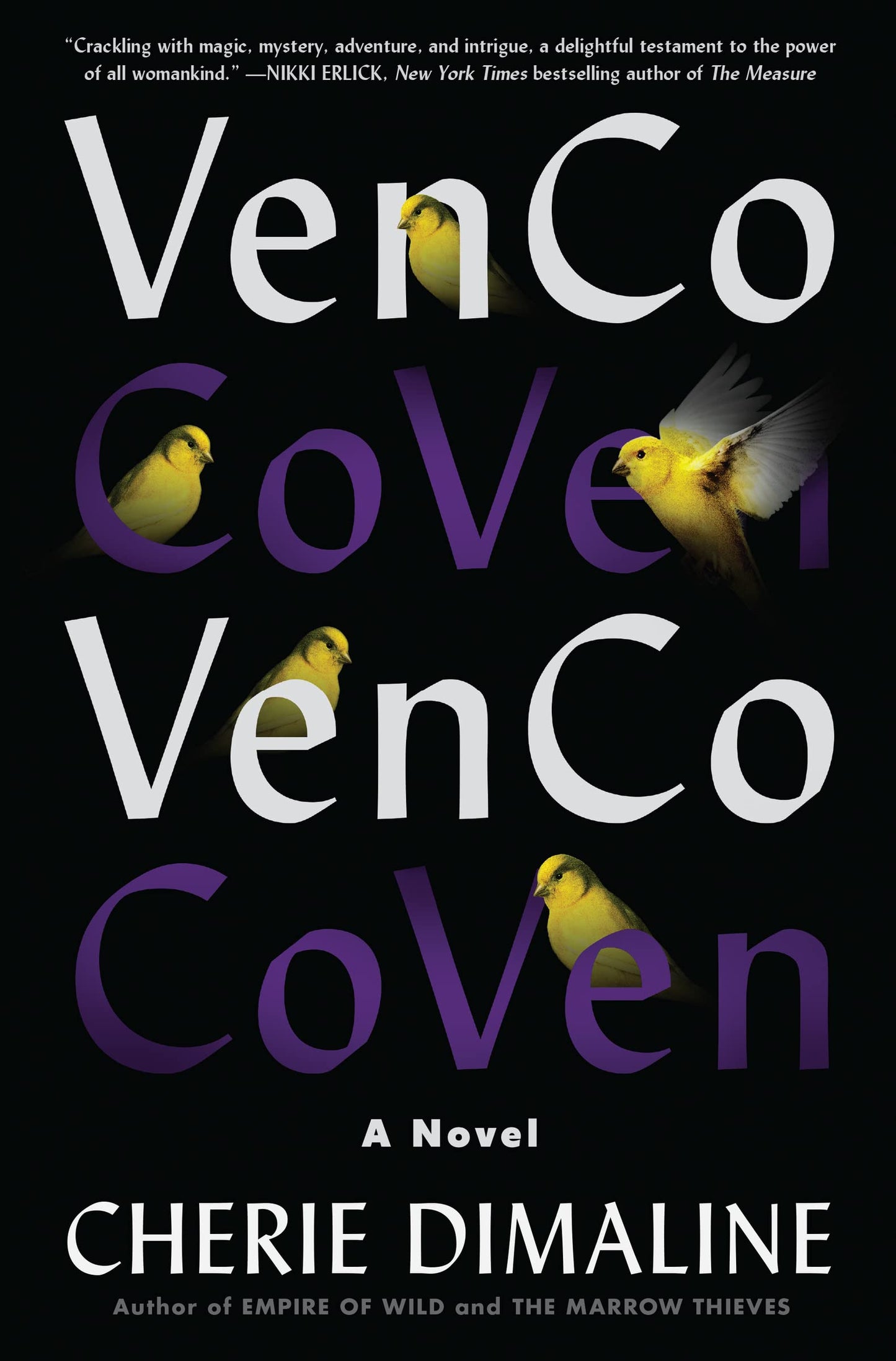 VenCo: A Novel by Dimaline, Cherie