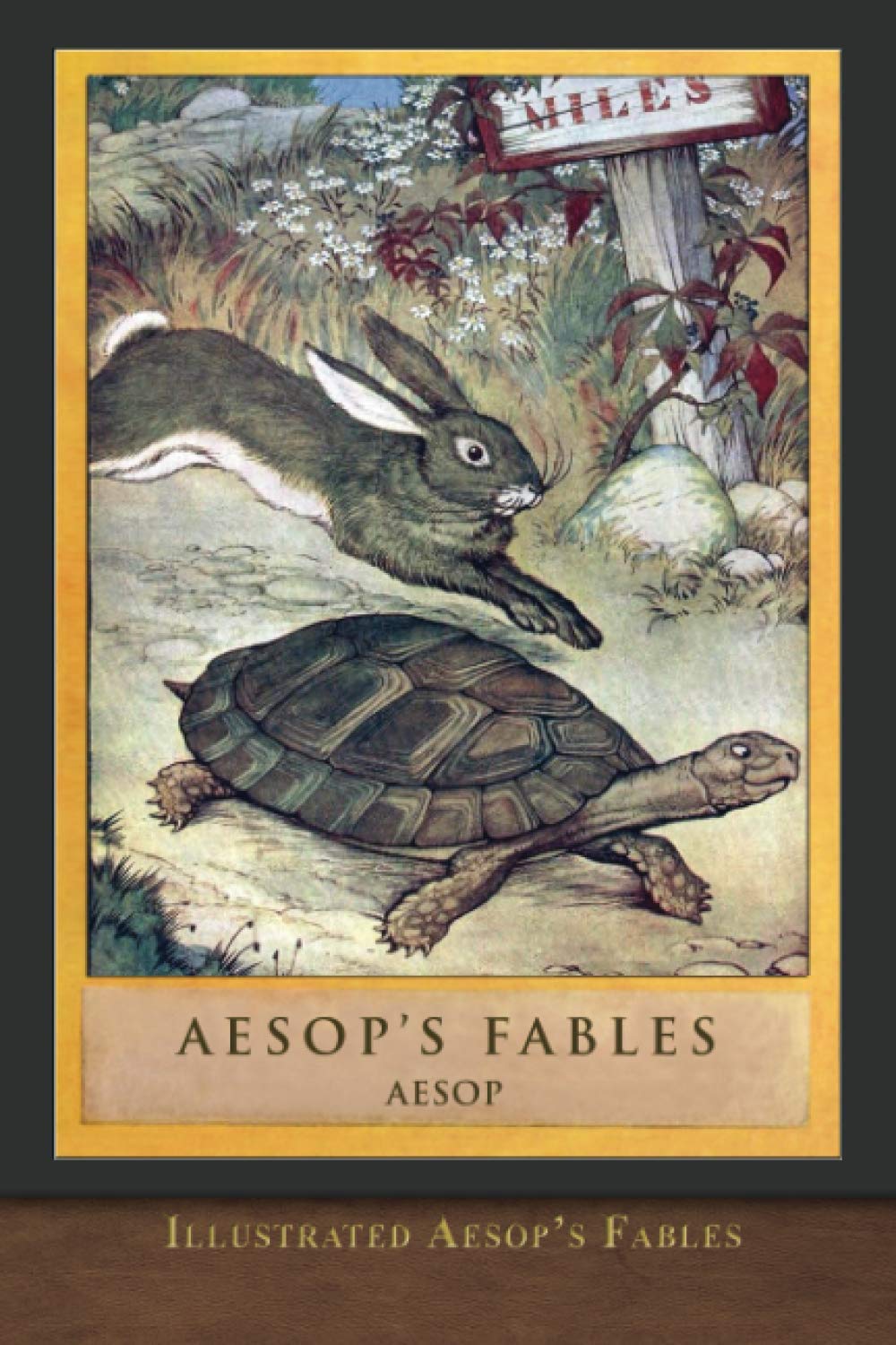 Illustrated Aesops Fables: Classic Edition