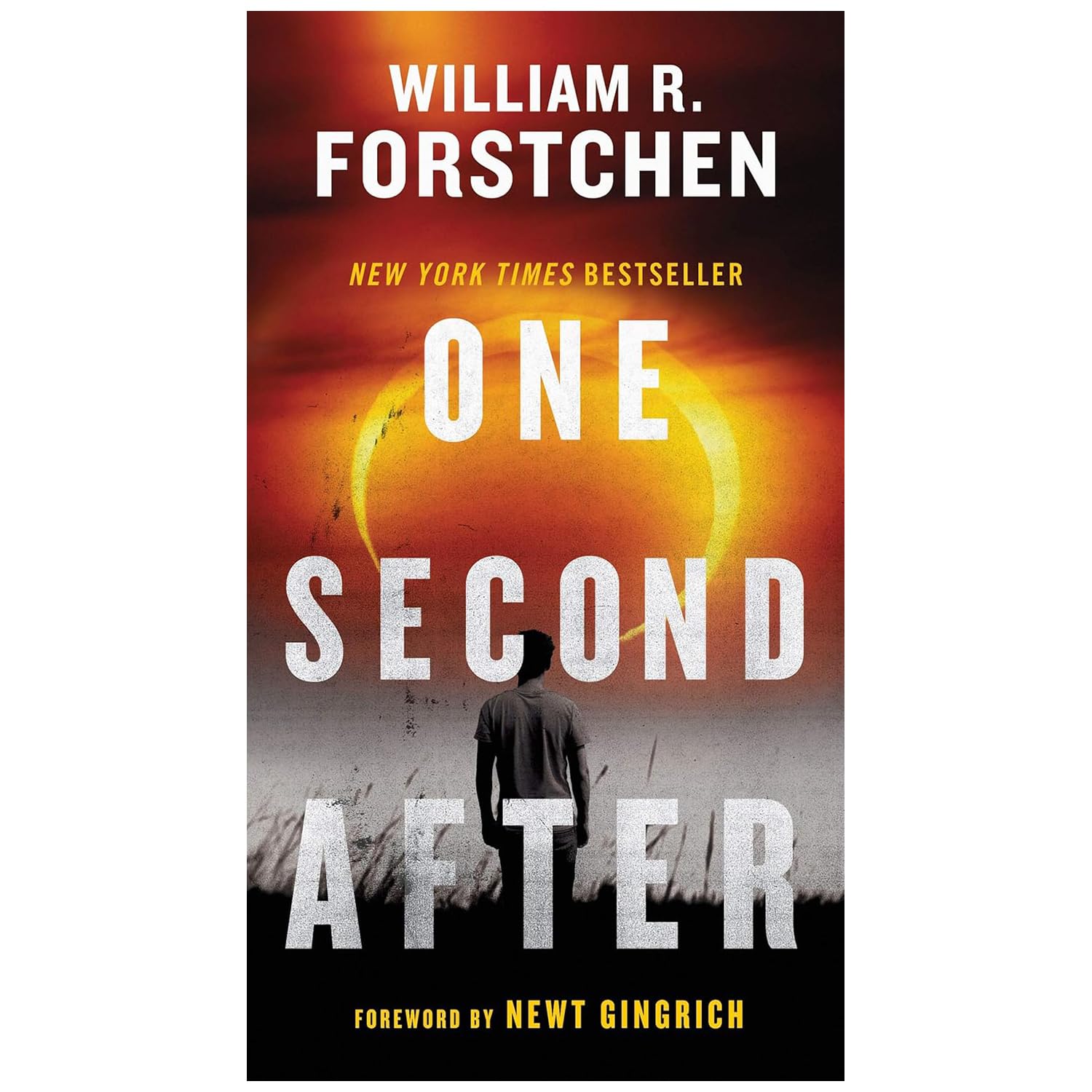 One Second after, One Year after, the Final Day and 48 Hours: a Novel