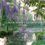 Claude Monet's Gardens at Giverny
