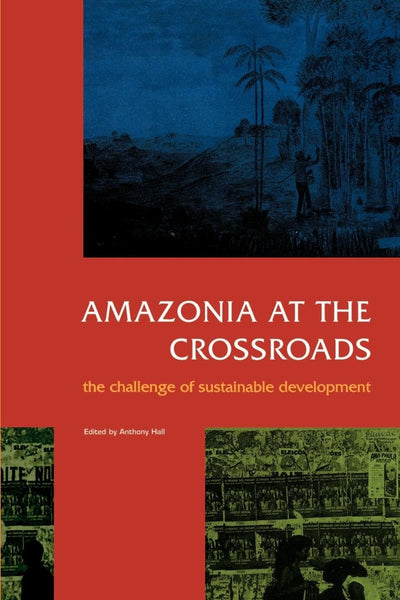 Amazonia at the Crossroads: The Challenge of Sustainable Development (Institute of Latin American Studies)