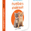 My First English-Tamil Learning Library (Boxset of 10 English Tamil Board Books) (English and Tamil Edition)