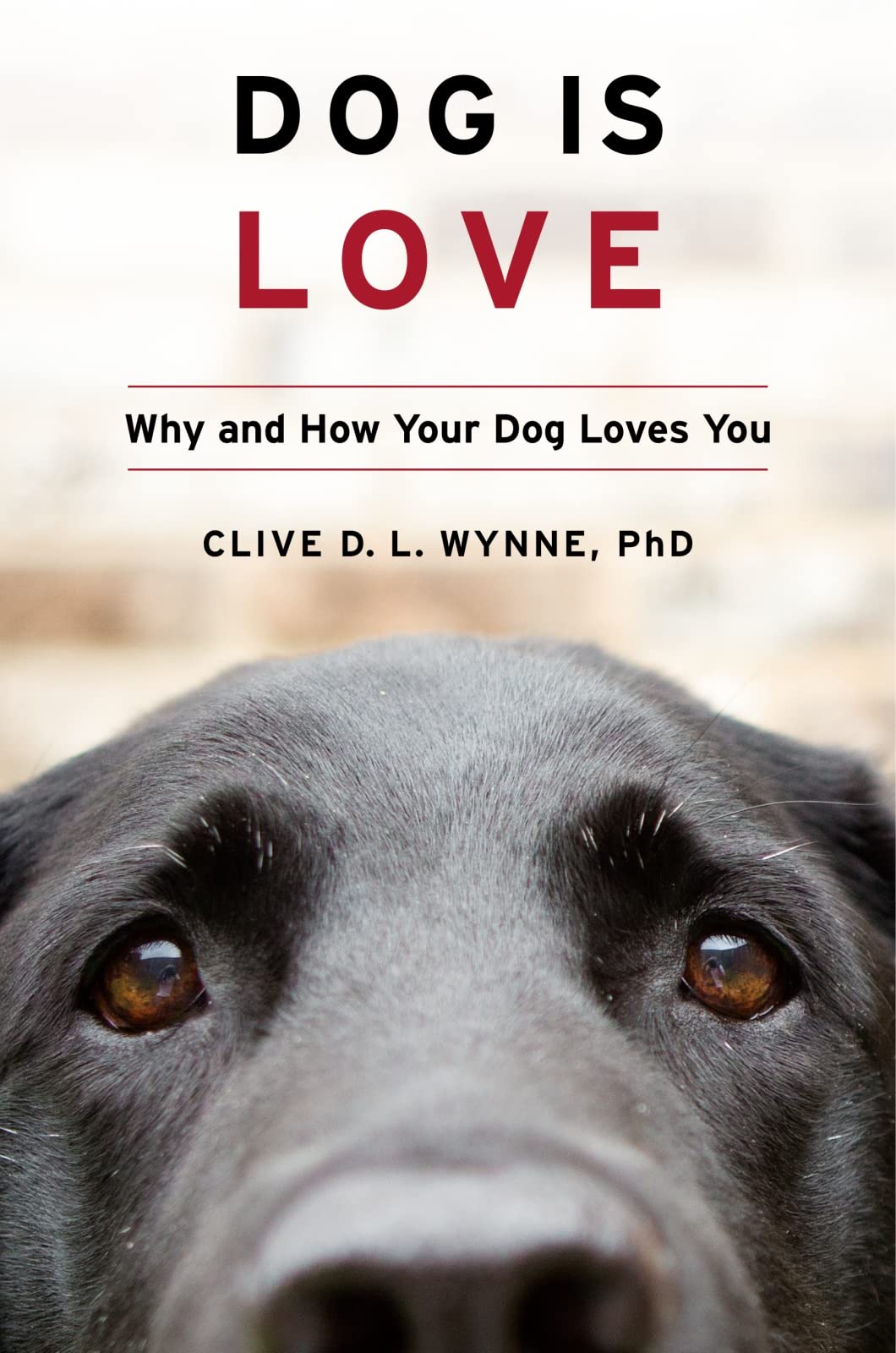 Dog Is Love: Why and How Your Dog Loves You by Clive Wynne