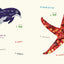 Ocean Animals (Multilingual Board Book) (Words of the World Series)