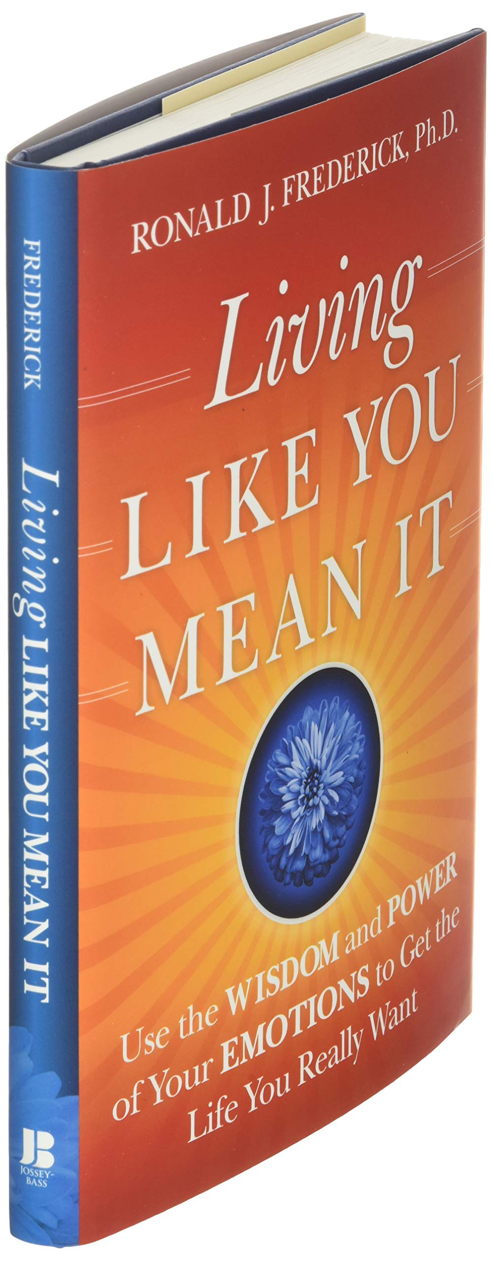 Living Like You Mean It: Use the Wisdom and Power of Your Emotions to Get the Life You Really Want
