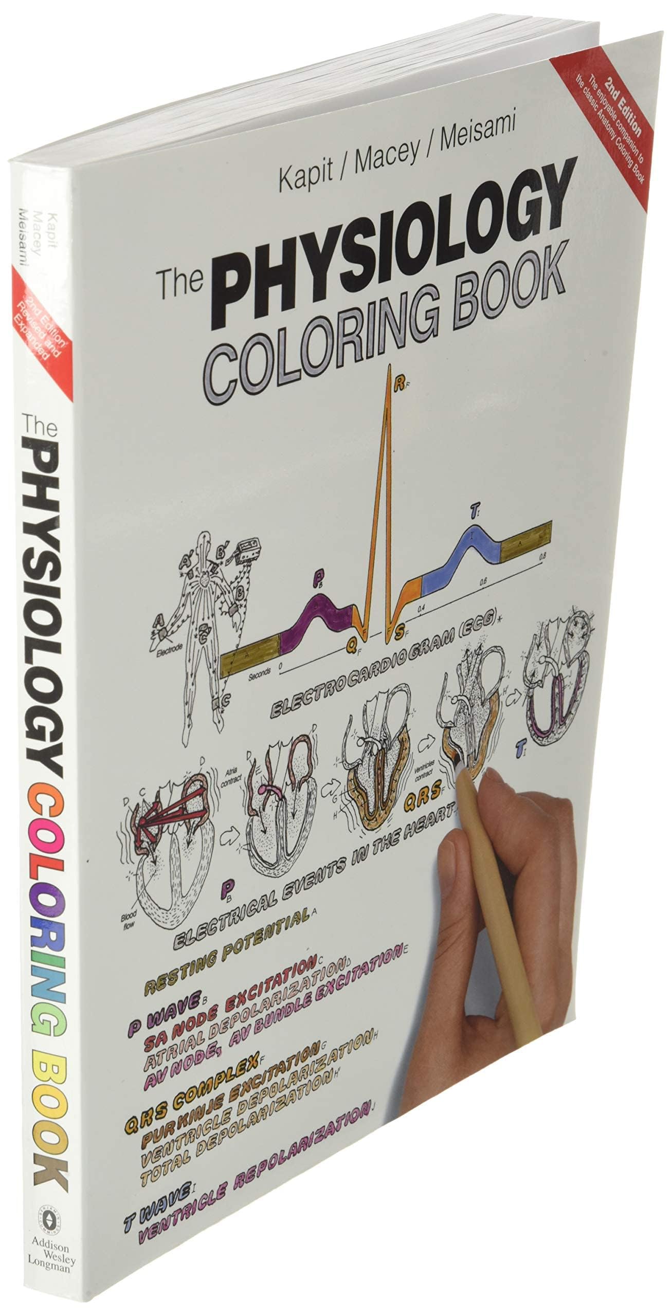 Physiology Coloring Book, The