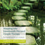 Stepping into Emotionally Focused Couple Therapy: Key Ingredients of Change