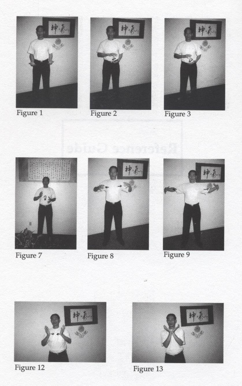 Pan Gu Mystical Qigong