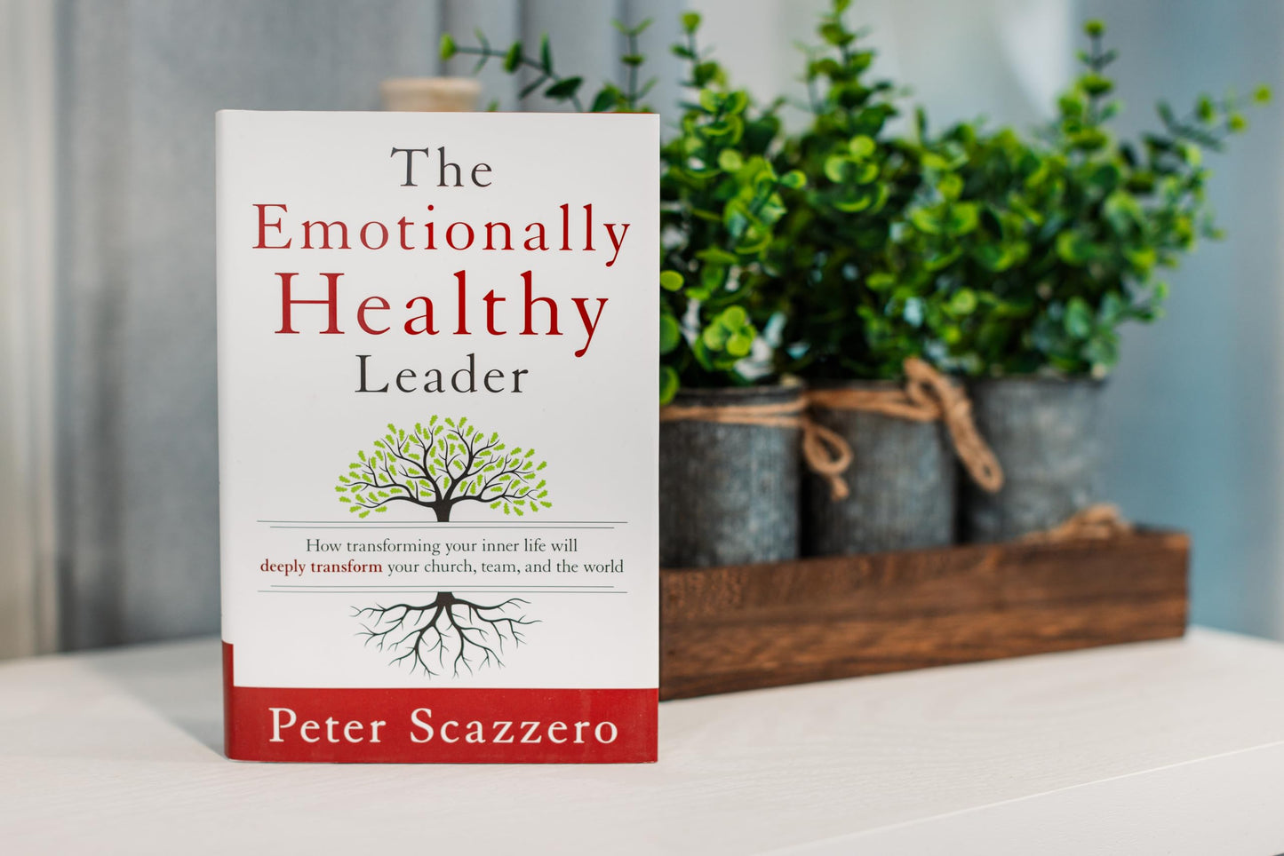 The Emotionally Healthy Leader: How Transforming Your Inner Life Will Deeply Transform Your Church, Team, and the World