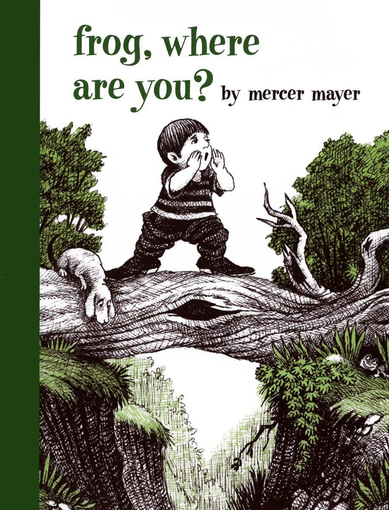 Frog, Where Are You? (A Boy, a Dog, and a Frog)