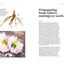Dahlias: Inspiration, Cultivation and Care for 222 Varieties