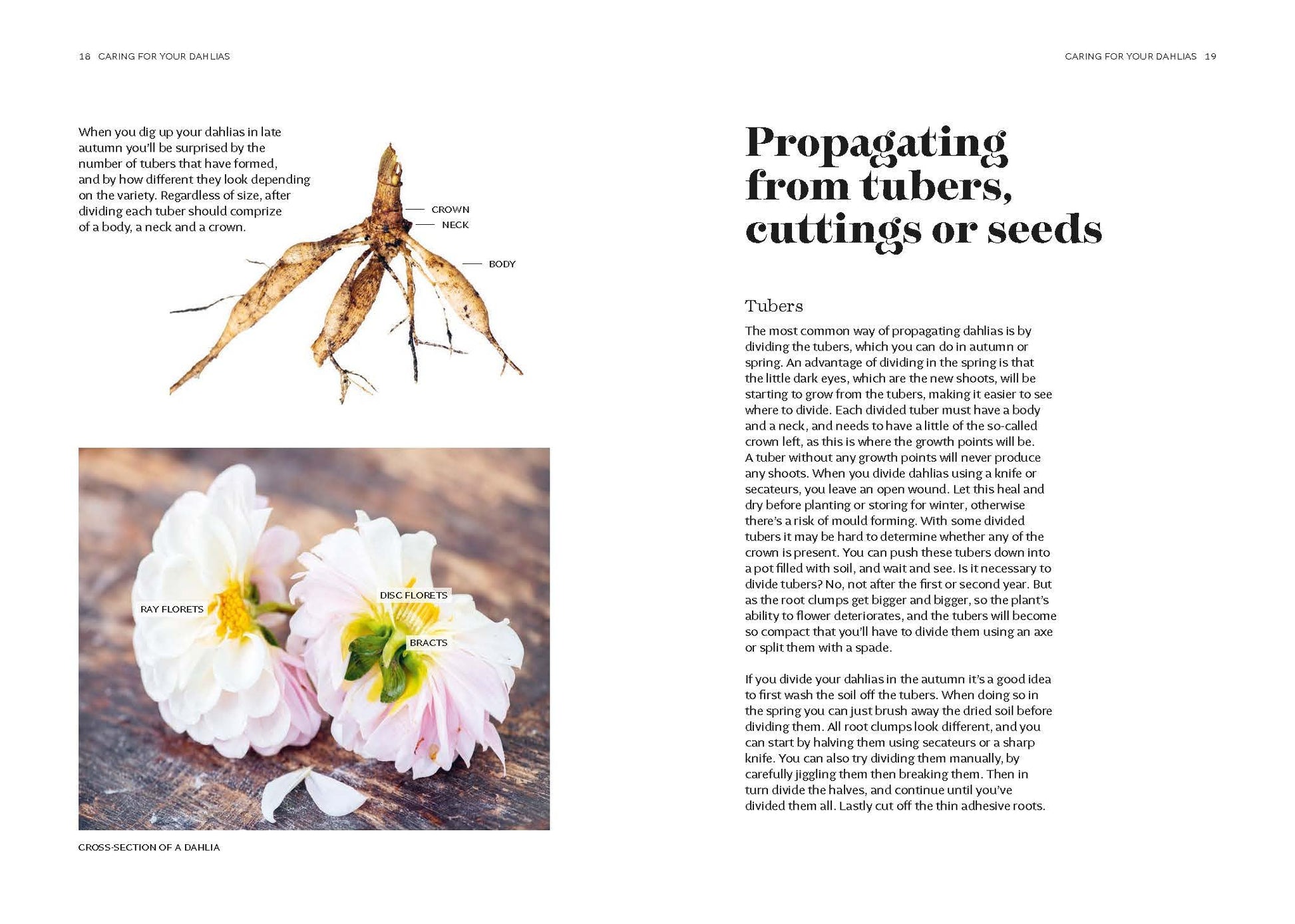 Dahlias: Inspiration, Cultivation and Care for 222 Varieties