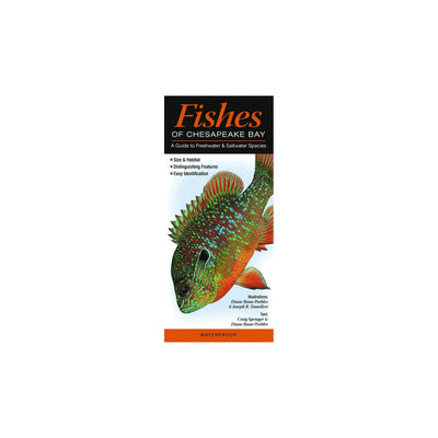 Fishes of Chesapeake Bay: A Guide to Freshwater & Saltwater Species