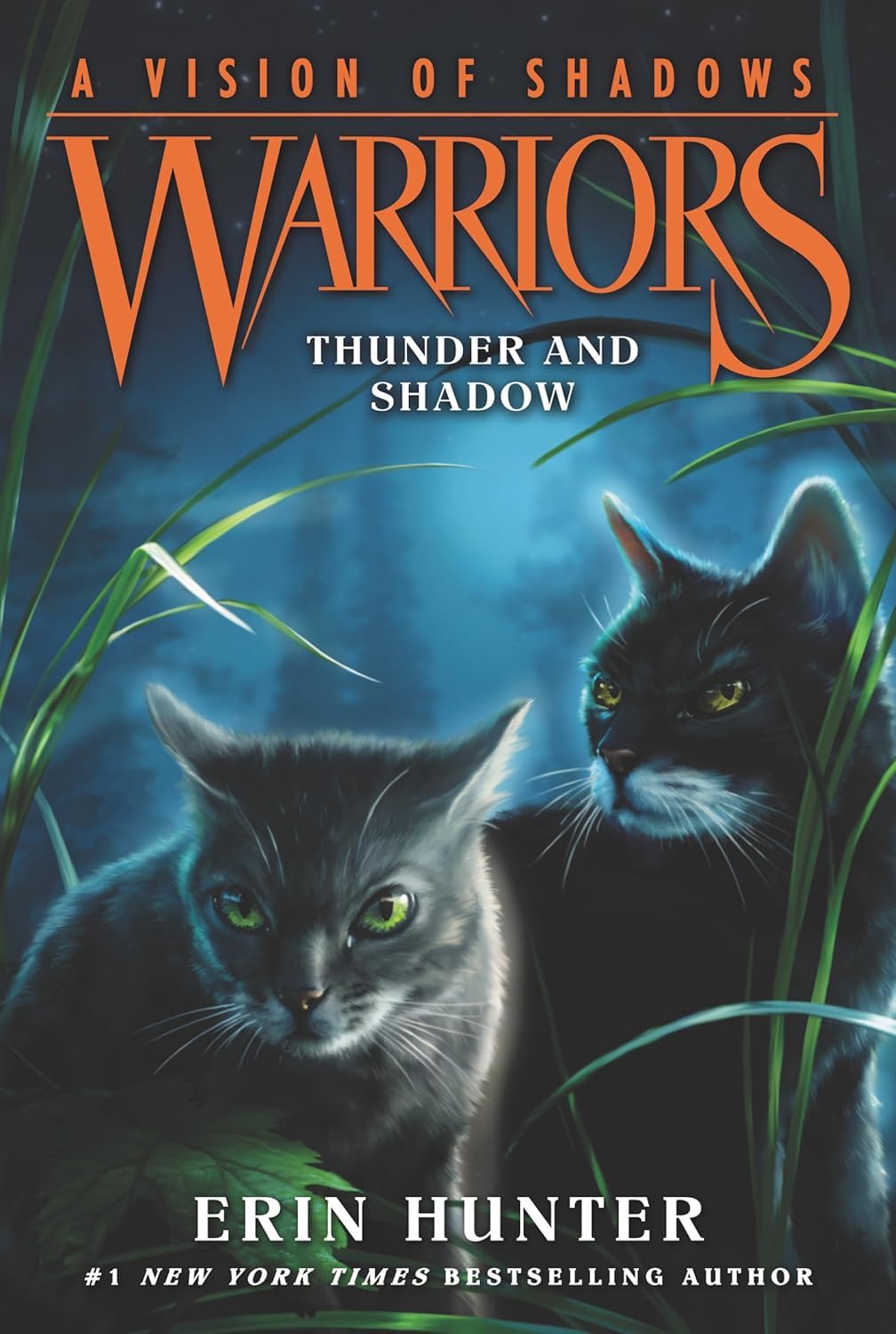 Warriors Cat A Vision of Shadows Series Books 1 - 6 Series 5 Collection Set By Erin Hunter (Apprentice's Quest, Thunder and Shadow, Shattered Sky, Darkest Night, River of Fire & Raging Storm)